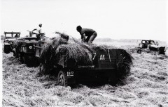 №37