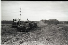 №39
