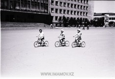 №11