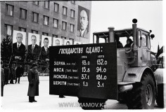 №17