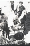 №01