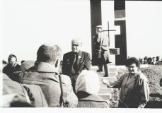 №17