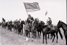 №15