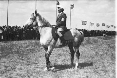 №32