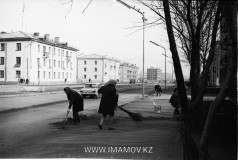 №12