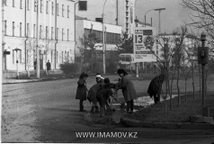 №13