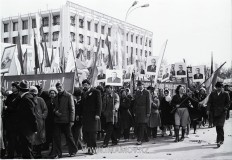 №11
