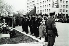 №19