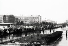 №11