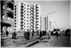 №18 №18