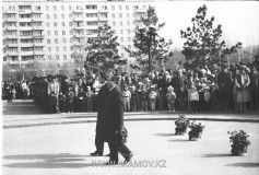 №17