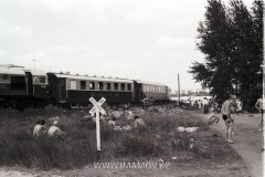 №12