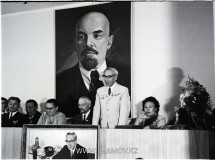 №11
