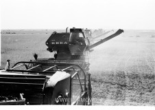 №09