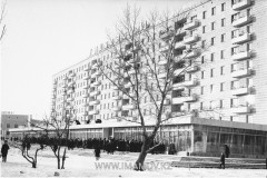 №13