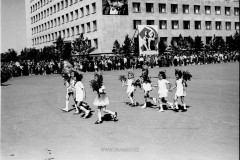 №15
