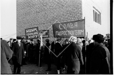 №12