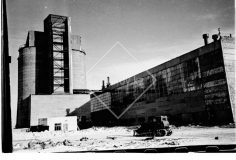 №11
