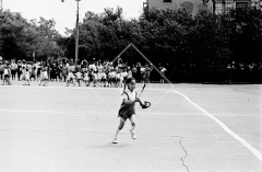 №11