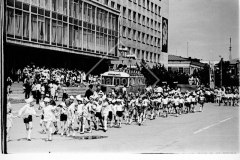 №19