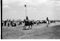 №11