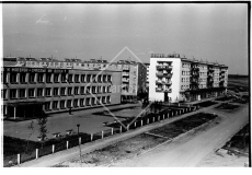 №19