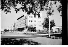 №26