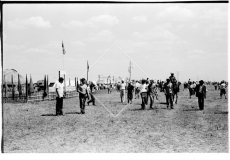 №29