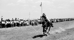 №30