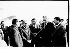 №10