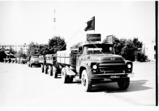 №06