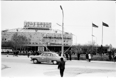 №13