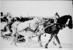 №16