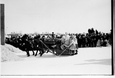 №29