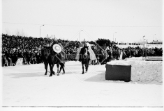 №33