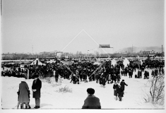№35