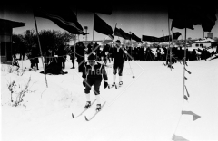 №02
