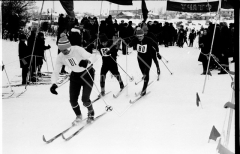 №36