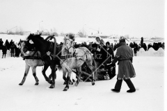№44
