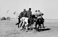 №06