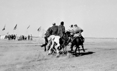 №07