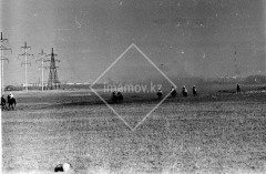 №11