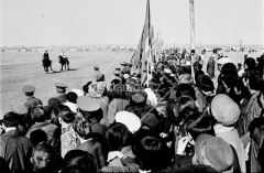 №12