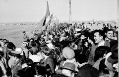 №14