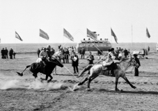 №15