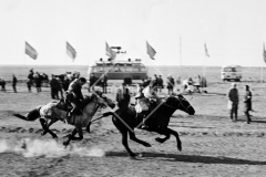 №16