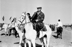 №27