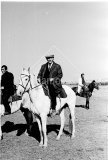№28