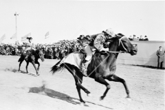 №30