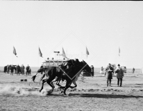 №31